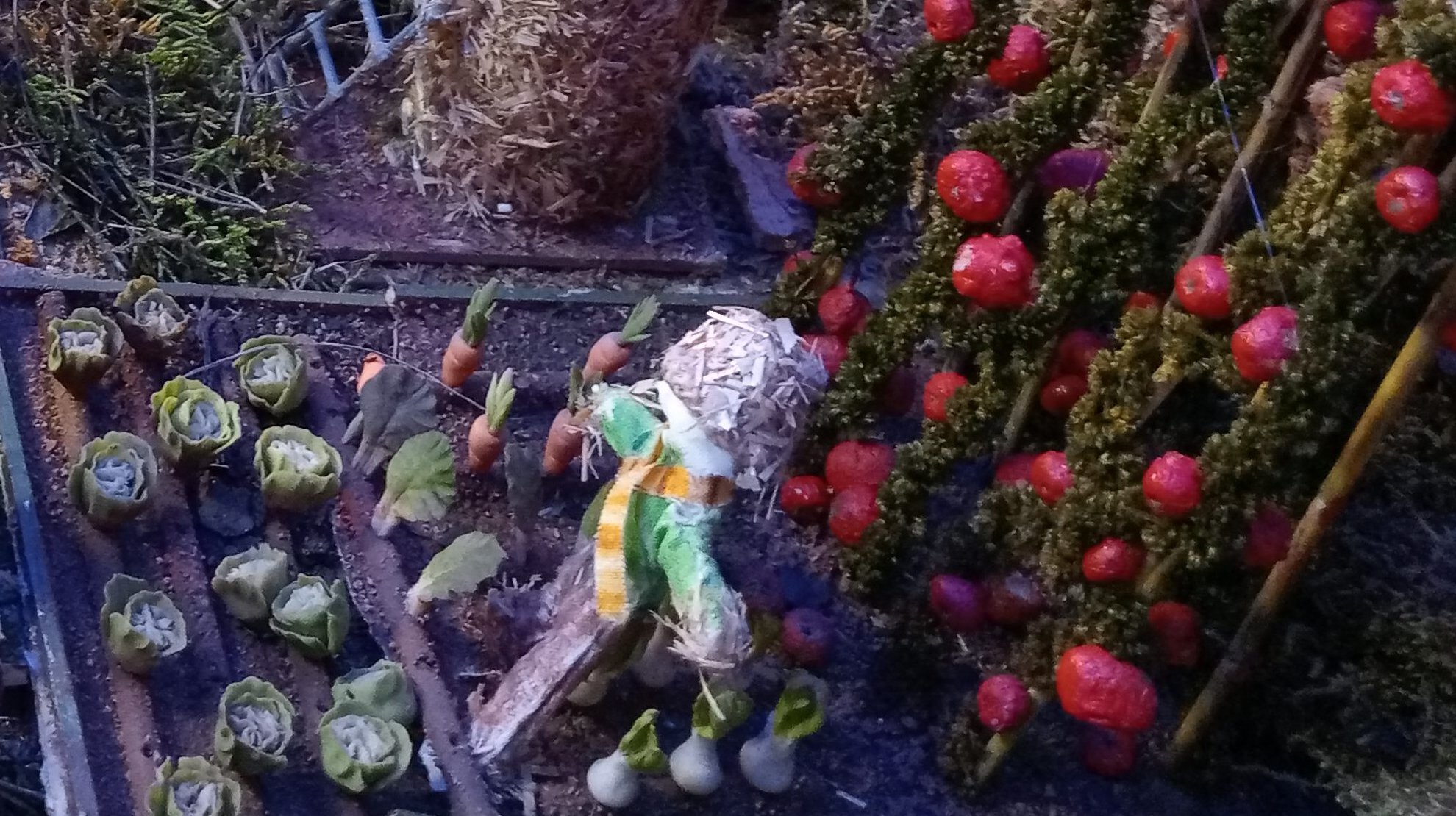Detall de l'hort.